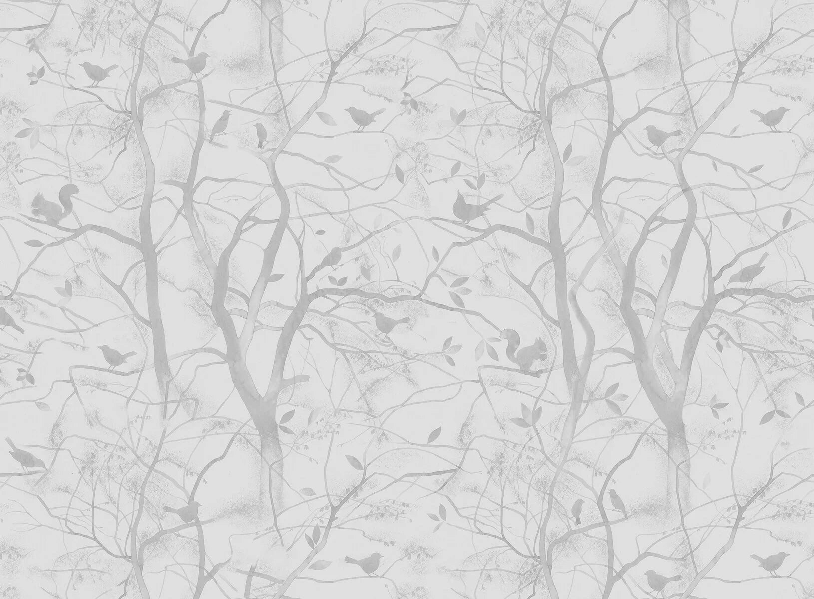 Birdie 9502W  Wallpaper