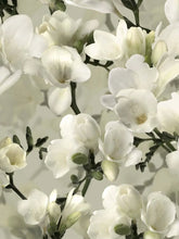 White Lily 9551W