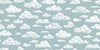 In the Clouds 9618W