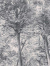 Sketch of Trees 9630W