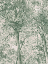 Sketch of Trees 9632W