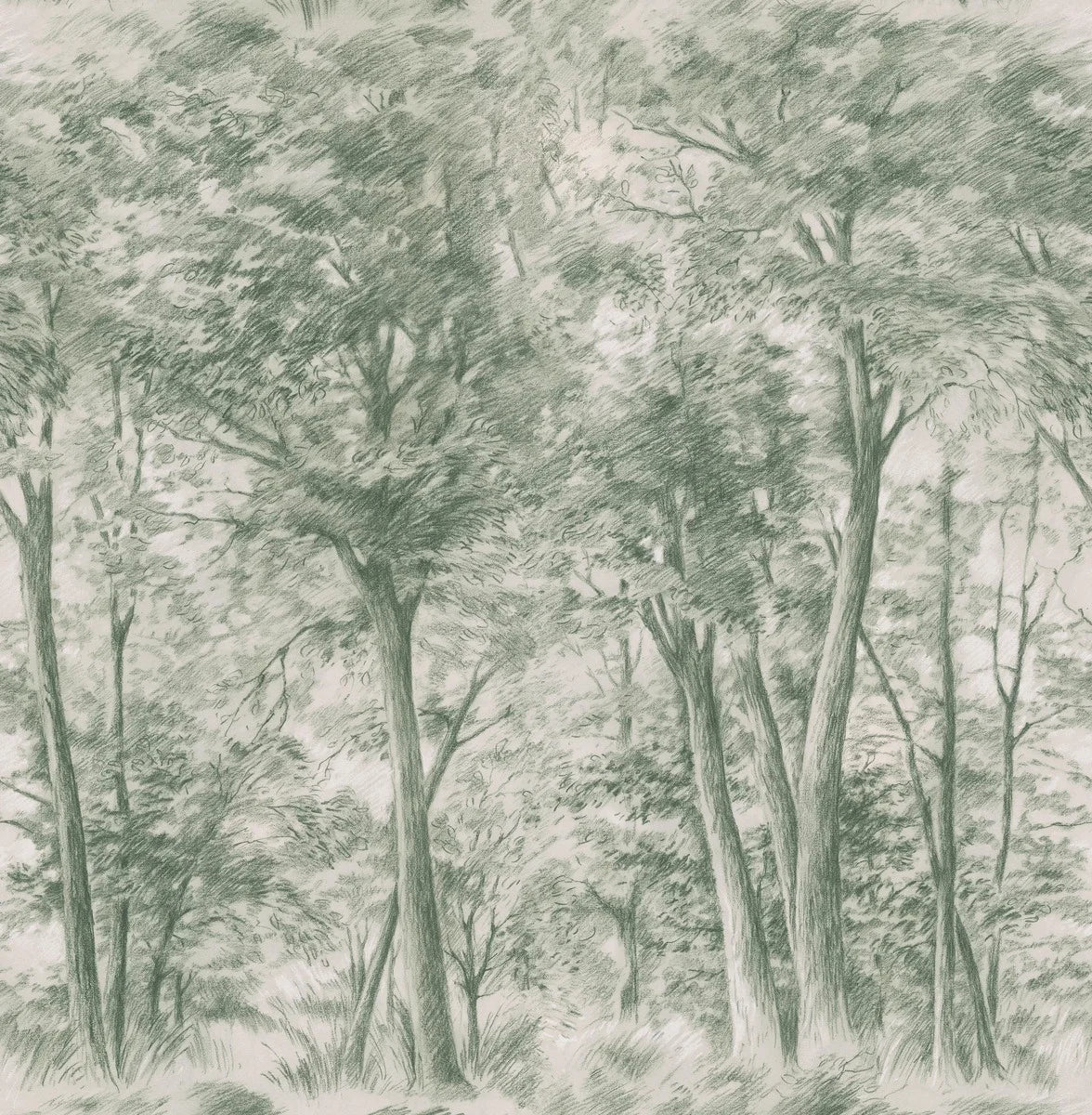 Sketch of Trees 9632W