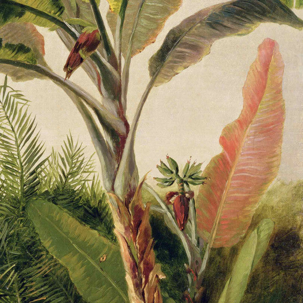 Banana Tree