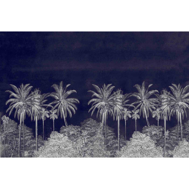 Palm Grove, Midnight