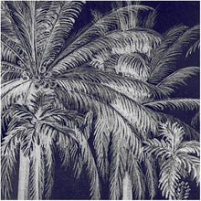 Palm Grove, Midnight Vinyl