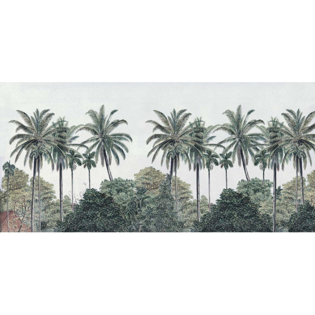 Palm Grove