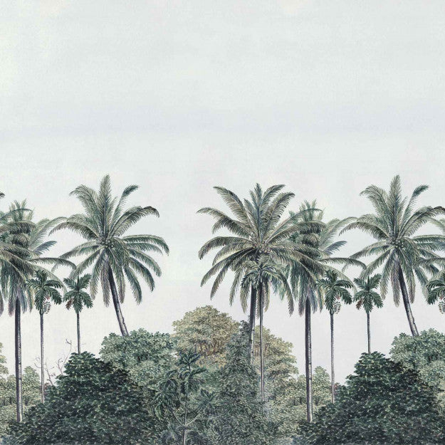 Palm Grove