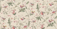 Archive Anthology Hummingbirds 100/14071