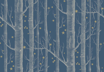 Whimsical Woods & Stars 103/11052