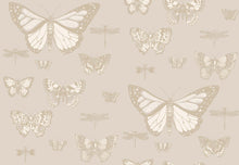 Whimsical Butterflies & Dragonflies 103/15064
