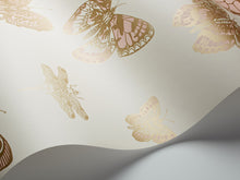 Whimsical Butterflies & Dragonflies 103/15066