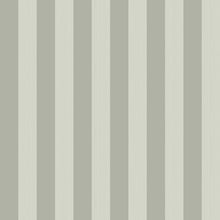 Marquee Stripes Regatta Stripe 110/3014