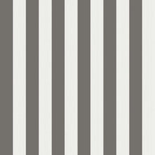 Marquee Stripes Regatta Stripe 110/3016