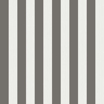 Marquee Stripes Regatta Stripe 110/3016