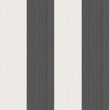 Marquee Stripes Jaspe Stripe 110/4025
