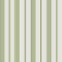 Marquee Stripes Cambridge Stripe 110/8038