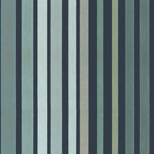 Marquee Stripes Carousel Stripe 110/9041
