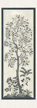 Martyn Lawrence Bullard Trees of Eden ETERNITY 113/14041