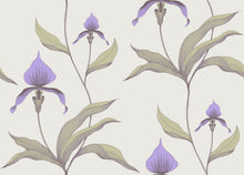 New Contemporary Orchid 66/4024