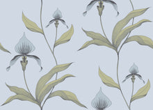 New Contemporary Orchid 66/4026