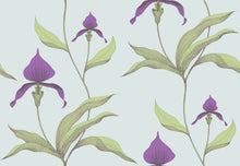New Contemporary Orchid 66/4027
