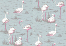 The Contemporary Collection Flamingos 66/6044