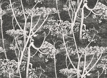The Contemporary Collection Cow Parsley 66/7046