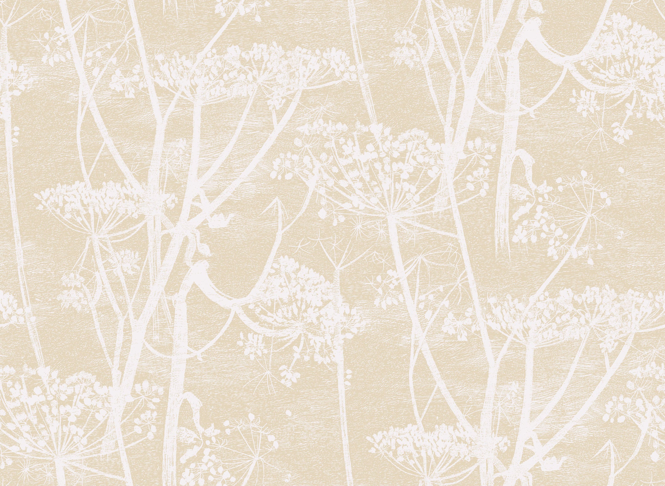 New Contemporary Cow Parsley 66/7049