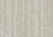The Contemporary Collection Woods 69/12149