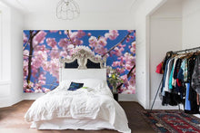 Cherry Blossom c041301-8 Mr Perswall Wallpaper