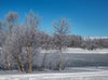 Frozen River c041501-8 Mr Perswall Wallpaper