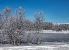 Frozen River c041501-8 Mr Perswall Wallpaper