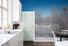 Frozen River c041501-8 Mr Perswall Wallpaper