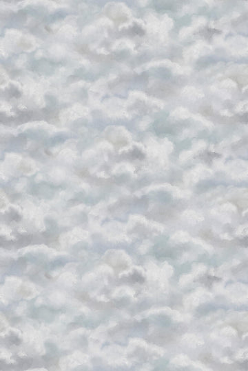 Clouds PW212402 Mr. Perswall Wallpaper