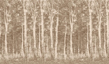 Woods DM216-1 Mr Perswall Wallpaper