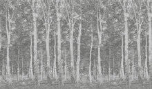 Woods DM216-2 Mr Perswall Wallpaper