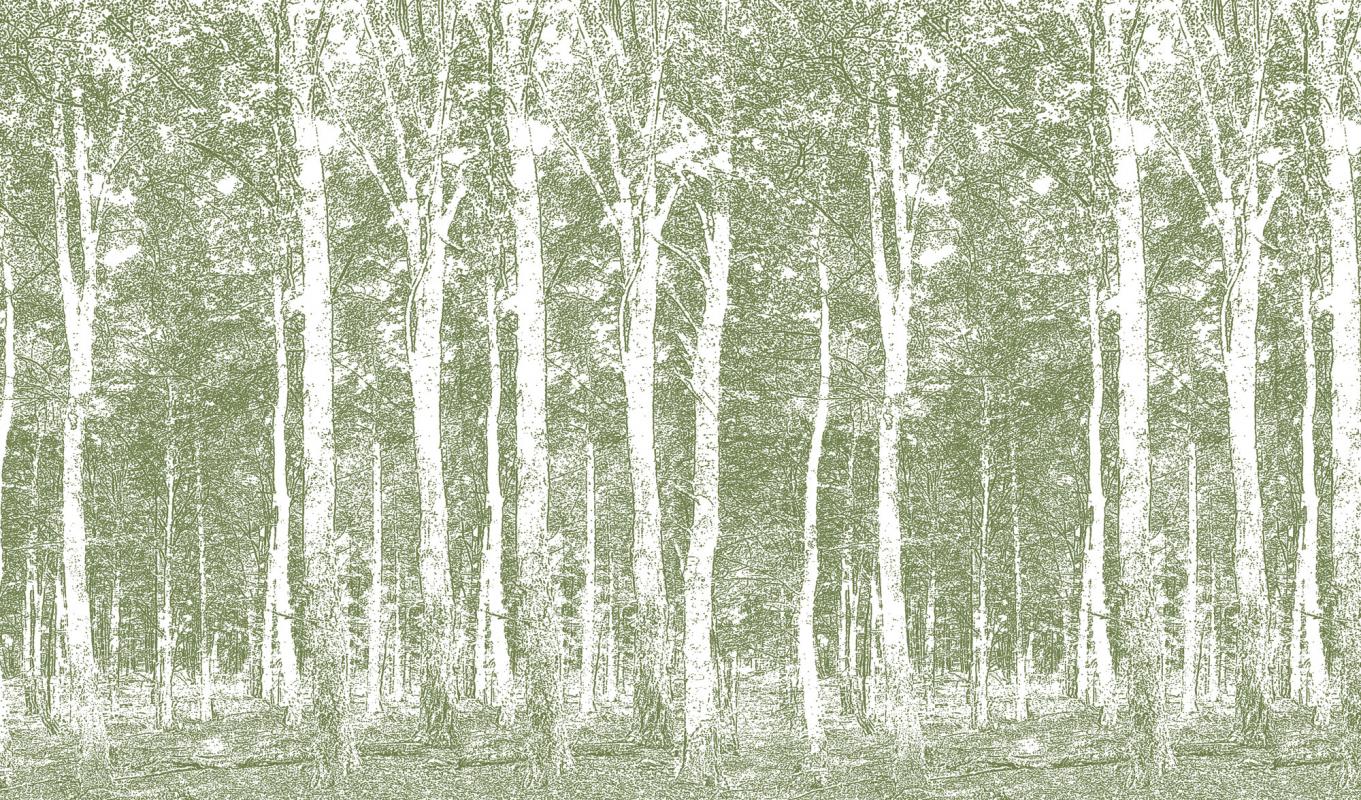 Woods DM216-3 Mr Perswall Wallpaper