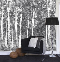 Woods DM216-4 Mr Perswall Wallpaper