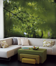 Green leaves DM322-1 Mr Perswall Wallpaper