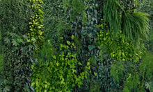 Green Wall e022601-0 Mr Perswall Wallpaper