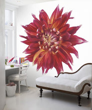 Earthly star P021401-3 Mr Perswall Wallpaper