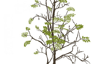 Teender Tree P031801-8 Mr Perswall Wallpaper