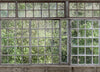 GREENHOUSE p291501-8  Wallpaper