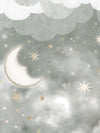 Stars in the sky PW212501 Mr. Perswall Wallpape