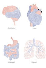 Organs - Anatomy of the soul P132601-4 Mr Perswall Wallpaper