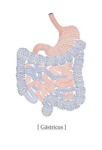 Organs - Anatomy of the soul P132604-4 Mr Perswall Wallpaper